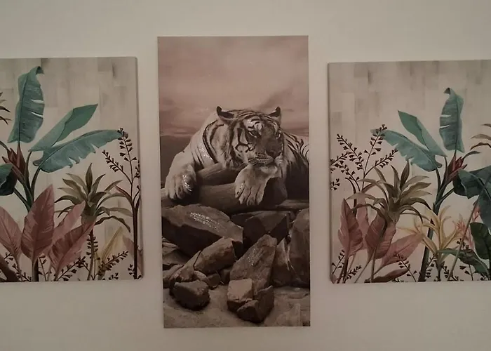 Stella Bianca * Giulianova